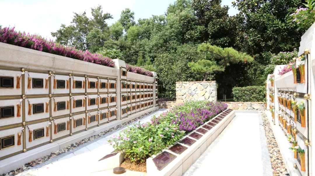 在合肥大蜀山文化陵园，与生命温柔对话